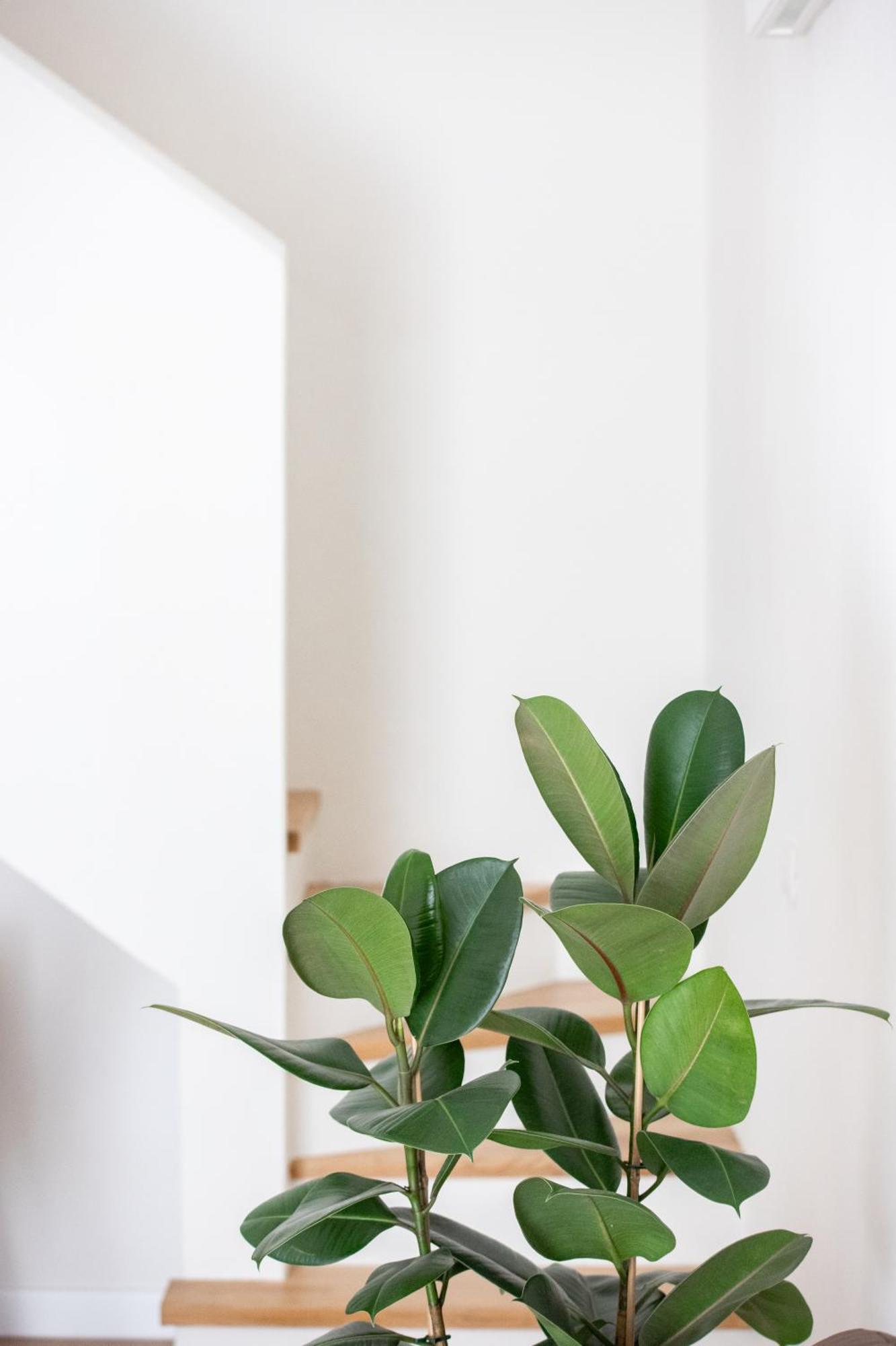 الشقق الفندقية بولونيافي  Santo Stefano Loft المظهر الخارجي الصورة