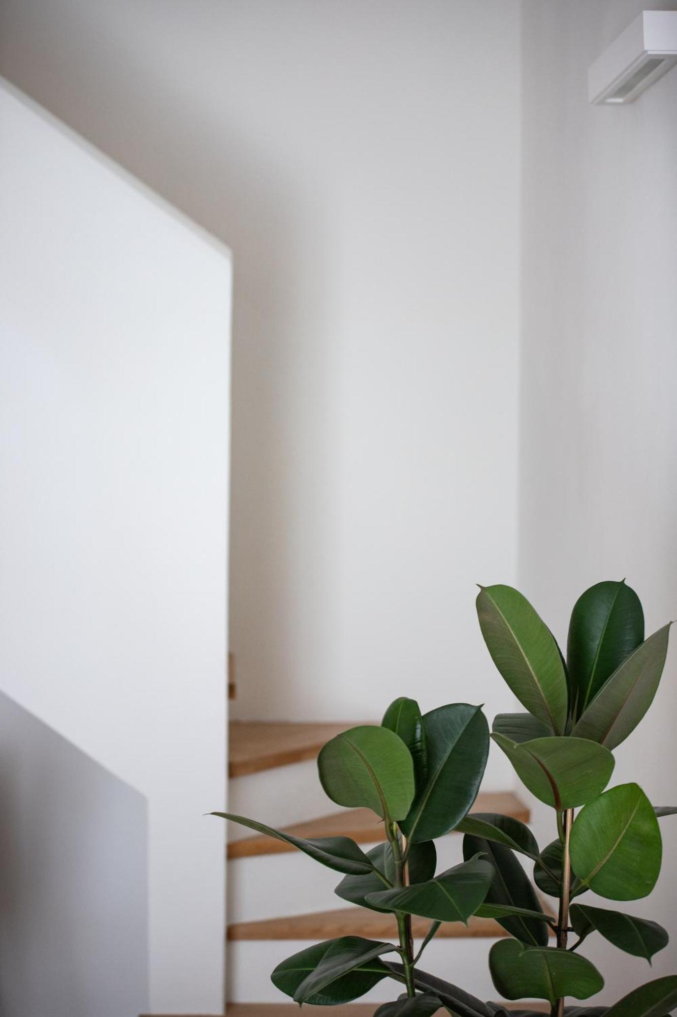 الشقق الفندقية بولونيافي  Santo Stefano Loft المظهر الخارجي الصورة